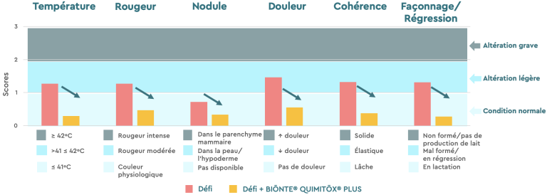 Figure 3. Observations cliniques des glandes mammaires chez les truies primipares.